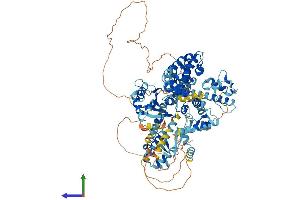 Protein Structure (PS) image for GTF2I Repeat Domain Containing 2 (GTF2IRD2) (AA 1-949) protein (His tag) (ABIN7548234)