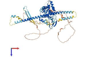 RACGAP1 Protein (AA 1-628) (His tag)