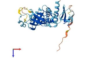 EXOSC2 Protein (AA 1-293) (His tag)