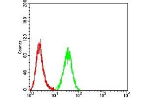 Flow Cytometry (FACS) image for anti-Ribonucleotide Reductase M1 (RRM1) (AA 541-792) antibody (ABIN7193575)