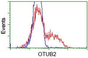 HEK293T cells transfected with either RC209650 overexpress plasmid (Red) or empty vector control plasmid (Blue) were immunostained by anti-OTUB2 antibody (ABIN2453407), and then analyzed by flow cytometry. (OTUB2 Antikörper)