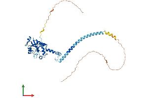 Protein Structure (PS) image for Phosphate Cytidylyltransferase 1, Choline, beta (PCYT1B) (AA 1-369) protein (His tag) (ABIN7550584)