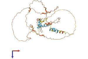 SP6 Protein (AA 1-376) (His tag)
