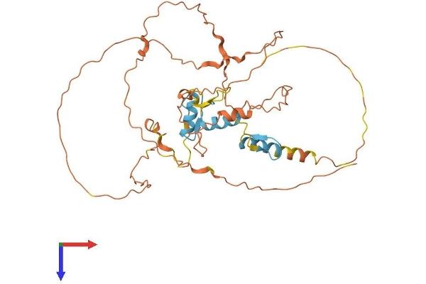 SP6 Protein (AA 1-376) (His tag)