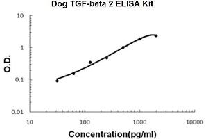 Dog TGF-beta 2 PicoKine ELISA Kit standard curve (TGFB2 ELISA Kit)