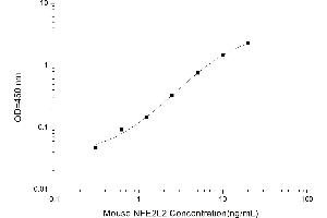 Typical standard curve (NRF2 ELISA Kit)