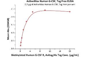 Immobilized Human G-CSF, Tag Free (ABIN2181135,ABIN2693589) at 2 μg/mL (100 μL/well) can bind Biotinylated Human G-CSF R, Avitag,His Tag (ABIN3137667,ABIN4369370) with a linear range of 0. (G-CSF Protein (AA 31-204))