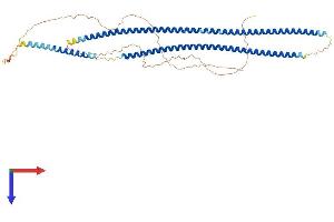 KRT81 Protein (AA 1-505) (His tag)