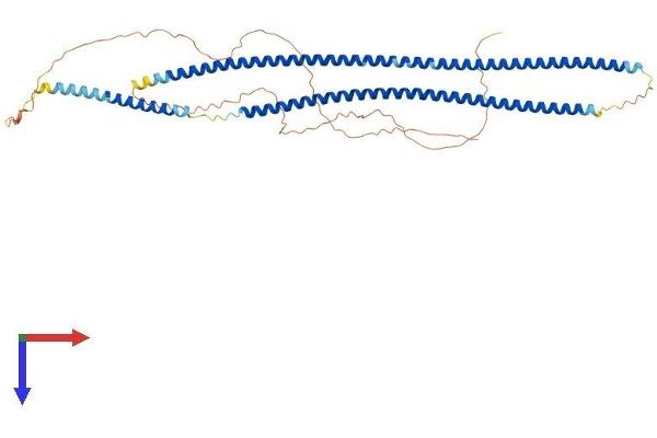 KRT81 Protein (AA 1-505) (His tag)