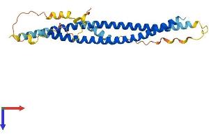 SNAP29 Protein (AA 1-260) (His tag)