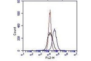Flow Cytometry (FACS) image for anti-Integrin alpha V (ITGAV) antibody (FITC) (ABIN1106450) (CD51 Antikörper  (FITC))