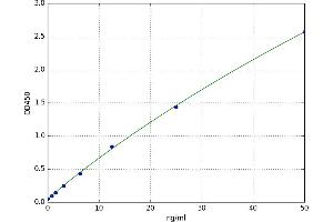 Fatty Acid Binding Protein 7, Brain (FABP7) ELISA Kit