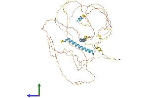 AlphaFold protein structure predicition of Human Recombinant MTDH Protein, UniprotID Q86UE4
