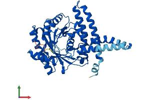 AlphaFold protein structure predicition of Human Recombinant AGPAT4 Protein, UniprotID Q9NRZ5