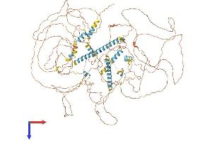 NRIP1 Protein (AA 1-1158) (His tag)