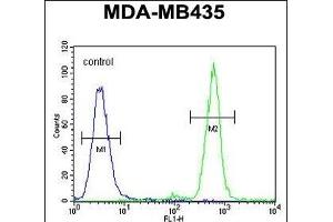 Flow Cytometry (FACS) image for anti-Transmembrane Anterior Posterior Transformation 1 (TAPT1) (AA 530-558), (C-Term) antibody (ABIN654785)