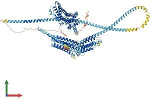 Protein Structure (PS) image for Huntingtin Interacting Protein 1 (HIP1) (AA 1-1029) protein (His tag) (ABIN7564741)