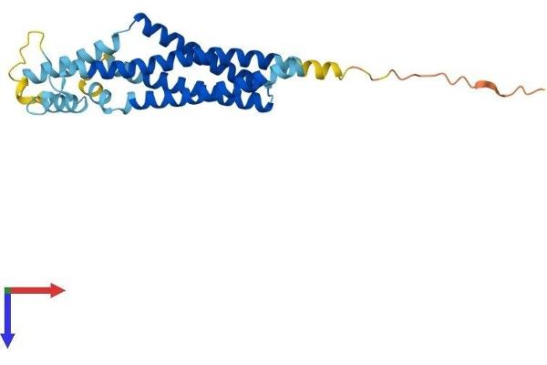 TSPAN32 Protein (AA 1-256) (His tag)