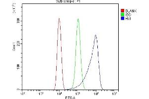 Flow Cytometry analysis of THP-1 cells using anti-HYI antibody (ABIN7601796). (HYI Antikörper  (AA 46-277))