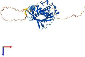 PITPNC1 Protein (AA 1-332) (His tag)