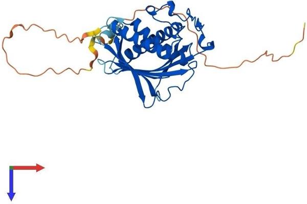 PITPNC1 Protein (AA 1-332) (His tag)