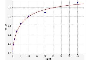 Typical standard curve (Synaptophysin ELISA Kit)