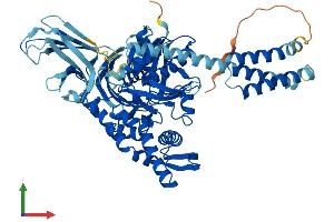 Protein Structure (PS) image for Heat Shock 70kDa Protein 2 (HSPA2) (AA 1-639) protein (His tag) (ABIN7554117)