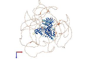 HIPK1 Protein (AA 1-1210) (His tag)