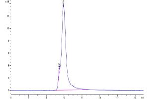 Size-exclusion chromatography-High Pressure Liquid Chromatography (SEC-HPLC) image for Mucin 1 (MUC1) (AA 24-158) protein (Fc Tag) (ABIN7275298)