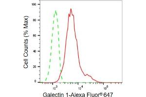 Flow cytometric analysis of Galectin 1 expression in C2C12 cells using Galectin 1 antibody (ABIN7799242), 1:2,000).