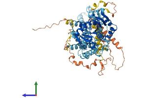 Protein Structure (PS) image for Diacylglycerol Lipase, beta (DAGLB) (AA 1-672) protein (His tag) (ABIN7553647)