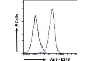 ABIN570707 Flow cytometric analysis of paraformaldehyde fixed A431 cells (blue line), permeabilized with 0.