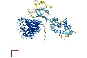CAPN13 Protein (AA 1-669) (His tag)