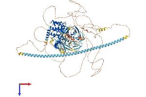 TNIK Protein (AA 1-1323) (His tag)