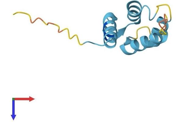 S100A14 Protein (AA 1-104) (His tag)
