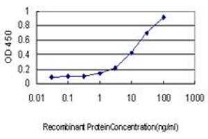 ELISA image for anti-Proteasome (Prosome, Macropain) Subunit, beta Type, 4 (PSMB4) (AA 1-264) antibody (ABIN562479)