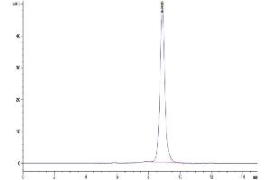 Size-exclusion chromatography-High Pressure Liquid Chromatography (SEC-HPLC) image for Epidermal Growth Factor (EGF) (AA 971-1023) protein (Fc Tag) (ABIN7274525)