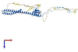 ABI3 Protein (AA 1-366) (His tag)