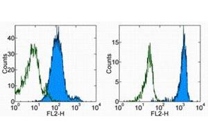 Flow Cytometry (FACS) image for anti-Basigin (Ok Blood Group) (BSG) antibody (PE) (ABIN2145001) (CD147 Antikörper  (PE))