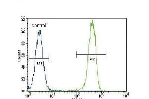 Flow Cytometry (FACS) image for anti-Proliferating Cell Nuclear Antigen (PCNA) (AA 89-117) antibody (ABIN389345)