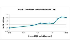 SDS-PAGE (SDS) image for Connective Tissue Growth Factor (CTGF) protein (ABIN6699724)