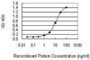 Detection limit for recombinant GST tagged TBX22 is 0. (T-Box 22 Antikörper  (AA 431-519))