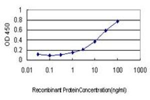 Detection limit for recombinant GST tagged RAB17 is approximately 1ng/ml as a capture antibody. (RAB17 Antikörper  (AA 1-212))