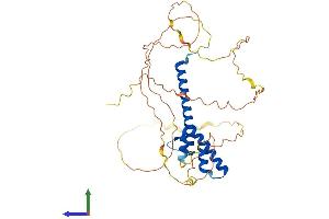 Protein Structure (PS) image for Neurogenic Differentiation 2 (NEUROD2) (AA 1-382) protein (His tag) (ABIN7554700)