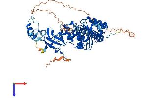 TRMT6 Protein (AA 1-497) (His tag)