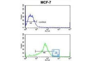 TIMP3 Antibody (Center) flow cytometric analysis of MCF-7 cells (bottom histogram) compared to a negative control cell (top histogram). (TIMP3 Antikörper  (Middle Region))