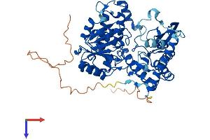 SPTLC3 Protein (AA 1-552) (His tag)