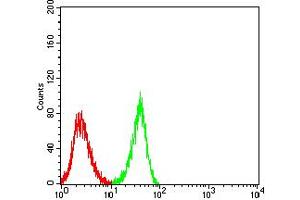 Flow Cytometry (FACS) image for anti-Cholinergic Receptor, Nicotinic, alpha 3 (Neuronal) (CHRNA3) (AA 32-240) antibody (ABIN5611357)