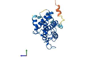 Protein Structure (PS) image for MOB Kinase Activator 3A (MOB3A) (AA 1-217) protein (His tag) (ABIN7558861)