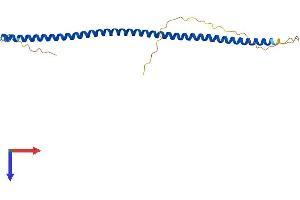 CCDC85B Protein (AA 1-202) (His tag)